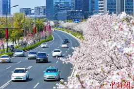 浙江天气冲击历史3月高温纪录 后迎过山车式降温图片