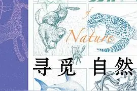 《寻觅自然》｜每日一书图片