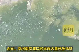 安徽一河流污染致大量鱼虾死亡，相关部门坚称没问题图片