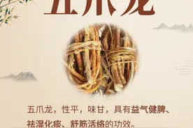 这3味岭南道地药材，用来煲汤可扶助正气、强筋壮骨图片