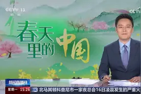 央视再度直播孝昌：桃花渐次开 游客踏春来图片