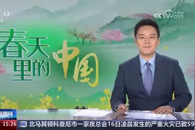 央视再度直播孝昌：桃花渐次开 游客踏春来图片