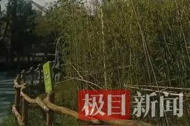 水雾消暑！武汉动物园新增4米高喷雾图片