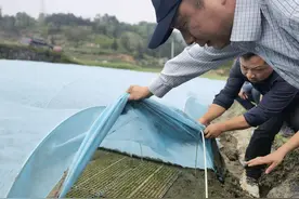 贵州大山中 农学教授用新思维教村民种田图片