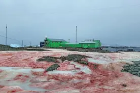南极雪地突然变红，出现诡异“血雪”，到底怎么回事？图片