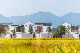 乡村振兴调研行｜特色产业发展、人居环境整治、新农人培育有机结合 “小而美”精致乡村绽放扬中图片