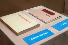 客从他乡来图片