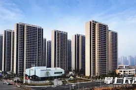 麓谷城市公园项目一期验收竣备图片