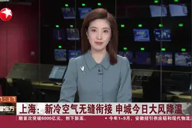 上海：新冷空气无缝衔接 申城今日大风降温视频封面