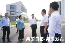 市委书记专题调研岳阳学院建设图片