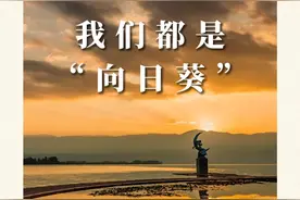 我们都是“向日葵”图片