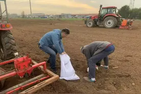 种下中草药 开出致富方图片
