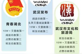 湖北政务微信12月TOP100榜：“武汉发布”蝉联榜首图片