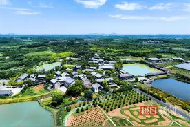 武汉江夏文旅发布五条赏花春游主题线路图片
