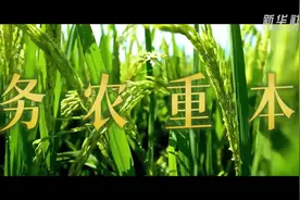 不断开创乡村全面振兴新局面——从中央农村工作会议看2025年“三农”工作着力点视频封面