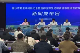 “上新”，15种新记录图片