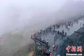 清明小长假 广西龙脊梯田吸引众多游客纷至沓来图片