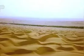 在“死亡之海”寻找“绿色”奇迹 让沙漠“绿电”点亮万家灯火图片