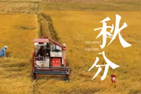 今日秋分丨风吹稻香  我们又想起了您图片