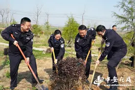 安徽监狱开展“青蓝铁军林”植树活动暨“我和我的导师”故事分享会图片