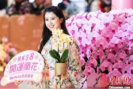 “百龙贺岁”新春花展会在港举办 花农对销情感乐观图片