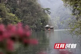 张家界：清明游宝峰湖 （组图）图片