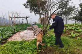 搜寻6天6夜，重庆9岁男孩在排水管道中被发现图片