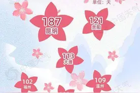 昆明，最“温”暖城市！2024年度城市天气“最”榜单揭晓图片