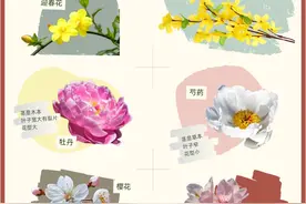赏花防脸盲指南来了！教你分辨那些“撞脸”的花儿图片