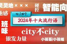 《咬文嚼字》十大流行语刷屏，到底谁在玩“抽象”?图片