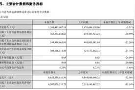 V观财报｜同花顺上半年净利同比降20.99%图片