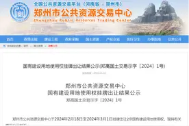 郑州挂牌出让两宗工业用地、地下交通服务场站用地   成交价6858万元图片