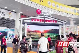 第16届湖南茶博会启幕 桑植白茶获多项大奖图片