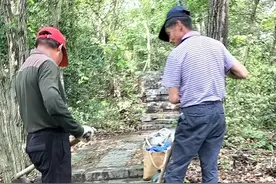 破损的杭州游步道修缮进行中，上山搬运石板还请了“外援”图片