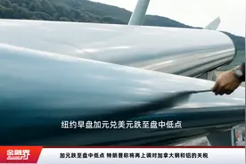 加元跌至盘中低点 特朗普称将再上调对加拿大钢和铝的关税视频封面