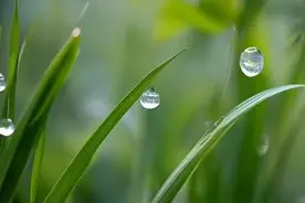 AI绘节气 | 谷雨：雨生百谷春渐晚图片
