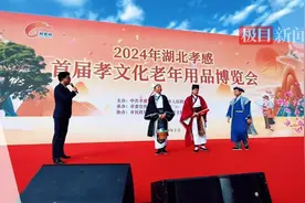 湖北孝感首届孝文化老年用品博览会开幕，全国百余家知名企业和品牌参展图片