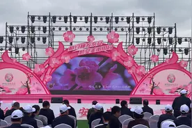 【甘快看】以花为媒 以诚会友 2024年甘肃秦安桃花会开园图片