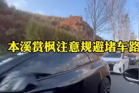 本溪赏枫遭遇大堵车：“早上8点出发下午1点还堵在景区外”图片