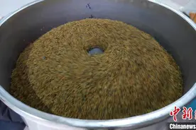 广西象州县智慧机械化育秧工厂启用 育秧效率提升三倍图片