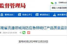 2024年海南省流通领域消防应急照明灯产品质量监督抽查结果公布图片