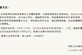12月4日起 古观音禅寺恢复免预约入寺图片
