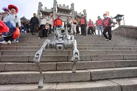 机器狗预备上岗，机器人时代要担心岗位被替代吗？图片