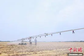山东麦收见闻：年轻人用智能农机与土地打交道图片