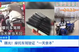 “摩托车驾照一天速拿”：危害安全的黑色产业链亟需斩断丨时评图片