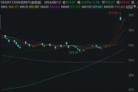 公募REITs二级市场迎“九连阳”！专家：偏牛格局有望延续图片
