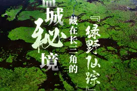 盐城秘境：藏在长三角的“绿野仙踪”图片