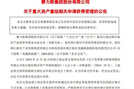 81.64亿元！赛力斯重大资产重组获受理，拟收购龙盛新能源100%股权图片