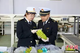 陕西葡萄首次出口哈萨克斯坦图片