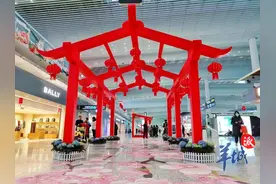 最全最细！民航、铁路春运出行攻略来了图片